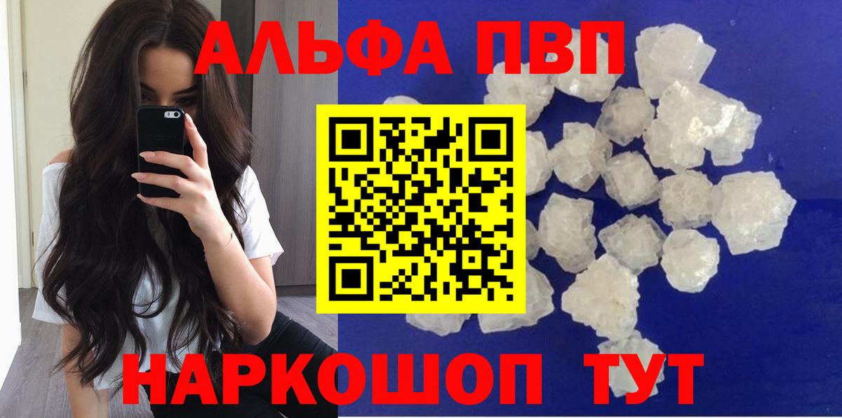 A PVP СК КРИС Воронеж