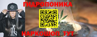 apvp Лесосибирск