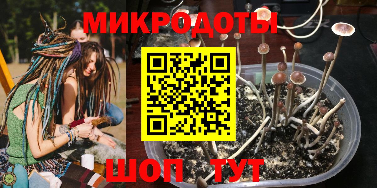 Псилоцибиновые грибы прущие грибы Воронеж